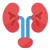 Urology