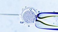 IVF