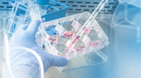 Embryo Freezing