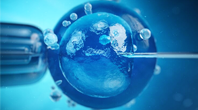 Fertility Preservation