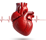 Cardiac Surgery