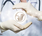 IVF Treatment